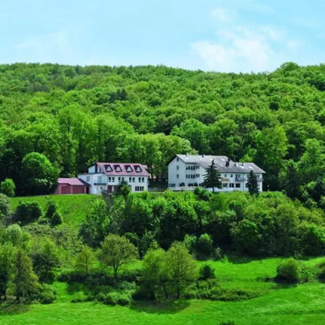 Pfalz Romantik für 2 Pers. Wellness Hotel 5 Nächte Frühstück 1x Abendessen Pool