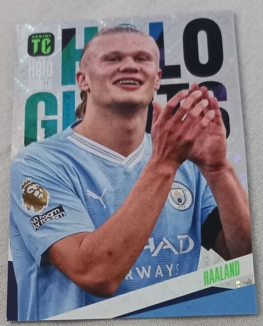 ERLING HAALAND Panini Top Class 2024 Holo Giants Card EUR 1,00