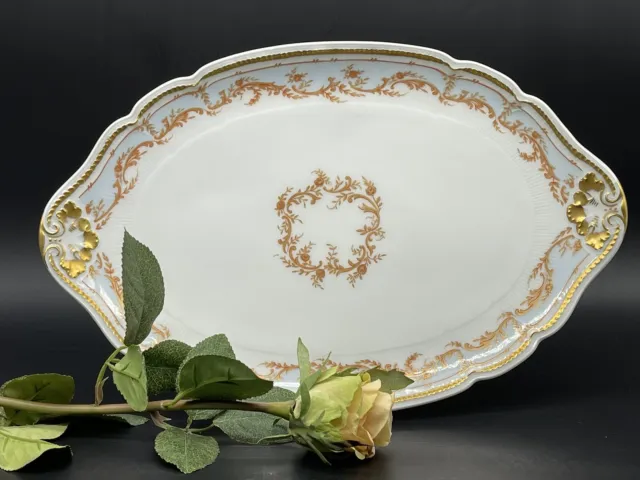 Magnificent Platter Royal Limoges Pierrefonds Hand Painted Rarity