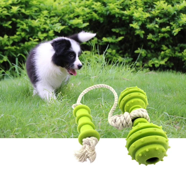 Jouets en caoutchouc pour chien chiot drôle dentition dentaire dents gencives