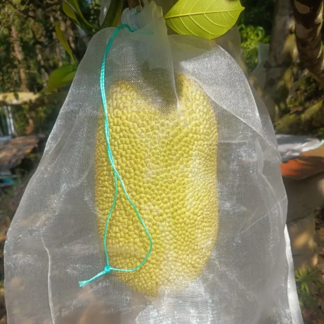 Sacs en maille nylon pour protection des fruits défendez vos fruits en toute co