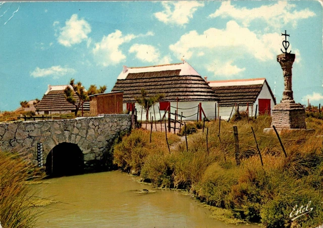 Carte Postale Moderne En Camargue avec les Gardians Dans les marais a