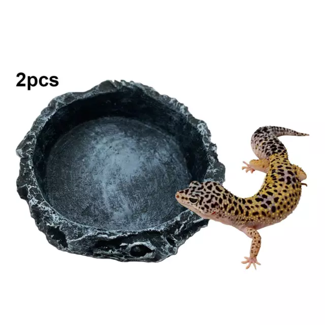 2 bols d'eau et de nourriture pour reptiles, mangeoire pour Scorpion, Dragon