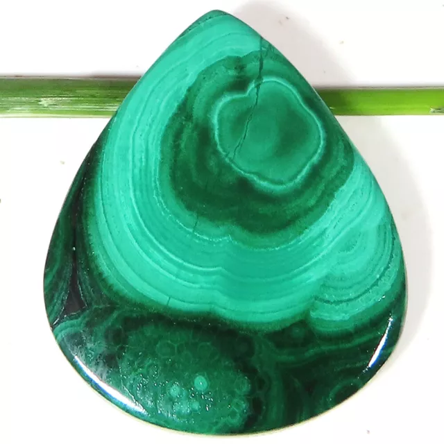 Natural Green MALACHITE Cabochon Pear Shape Gemstone 36.25 CT 27x33x3 mm TN_302