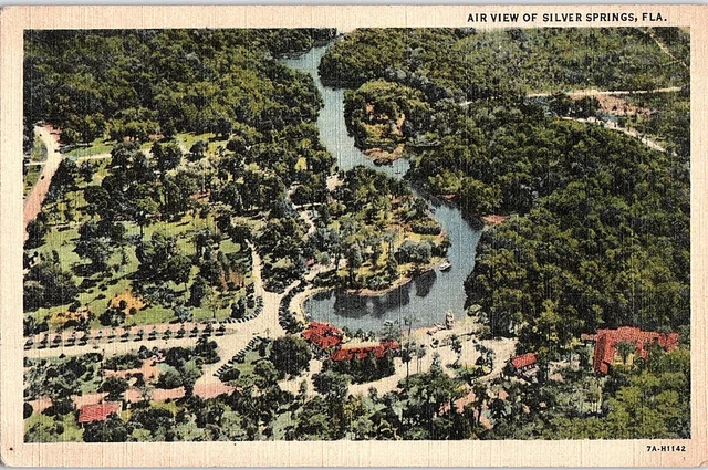 Postcard AERIAL VIEW SCENE Silver Springs Florida FL AI1480
