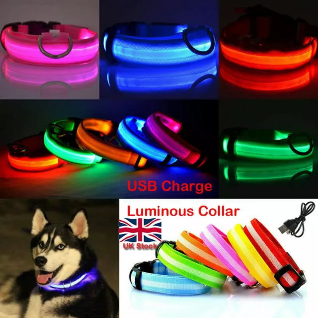 Rechargable LED Flashing Light up Safety Luminous Dog Puppy Pet Glowing Collar