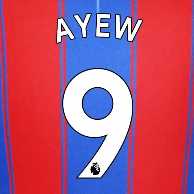 Crystal Palace 2019-23 Ayew 9 Official Avery Dennison White Player Name Set