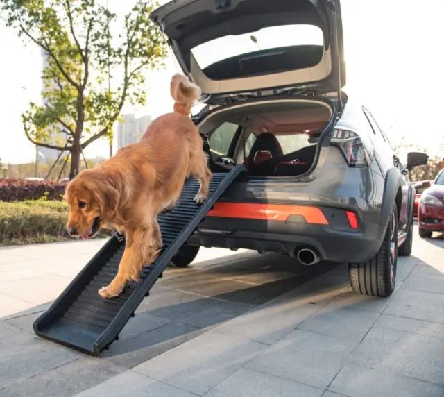 Mr Barker Heavy Duty Plastic Folding Pet Ramp for Dogs Car Ramp Easy Travel