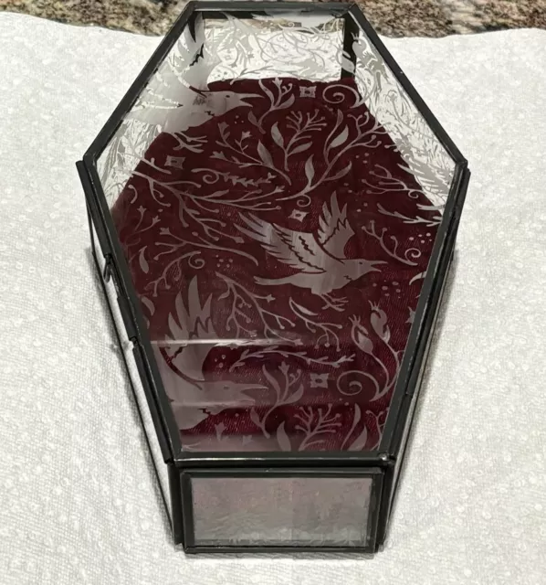 Glass Vampire Coffin Ravens Jewelry Box Trinket Gothic Display Case Velvet Inser