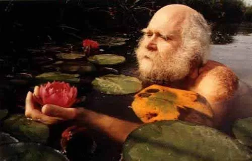 Art Oil painting Devries lotus Bearded old man in pond picking lotus flowers