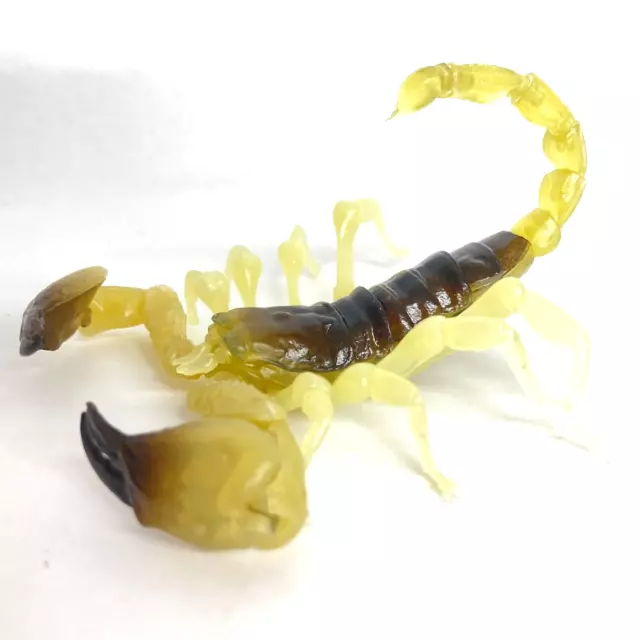 Bandai Gashapon Scorpion Action Figure Israel Gold Scorpion 10 cm import Japan