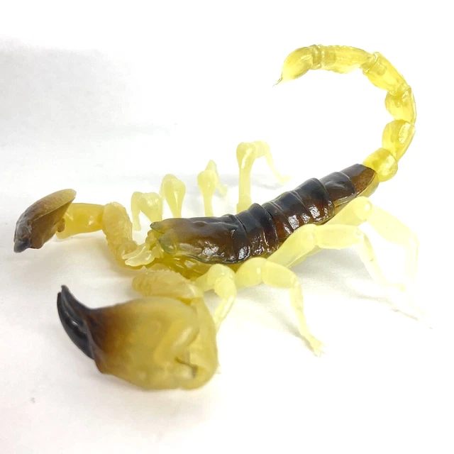 Bandai Gashapon Scorpion Action Figure Israel Gold Scorpion 10 cm import Japan