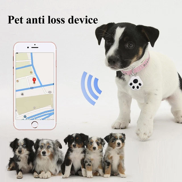 🌸Two Way Lost Locating Keychain Pet Pendant Locatin Parking Location Keychain🌸