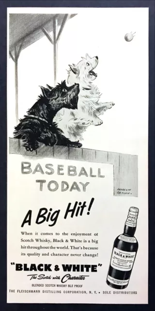 1957 Scottie & Westie Dog Baseball art Black & White Scotch vintage print ad