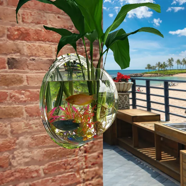 Home Mounted Hanging Bubble Bowl Plant Fish  Aquarium Glass Pot Wall Ornate