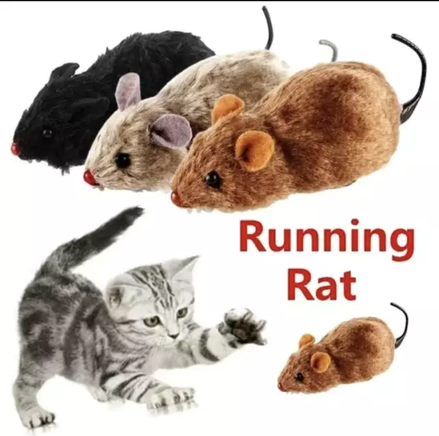 Jouet Pour Chat, Animal De Compagnie, Chien, Chat, Peluche Amusante, Souris