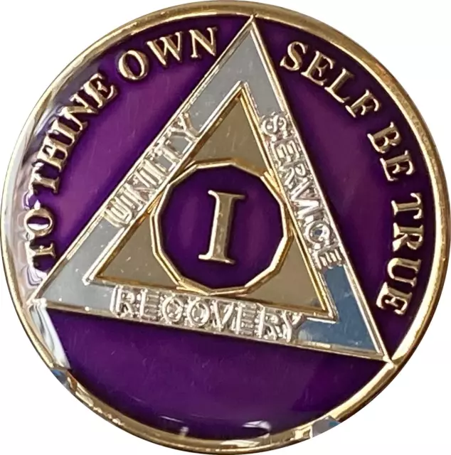 1 YEAR AA Medallion Metallic Purple Tri-Plate Sobriety Chip $35.24 ...