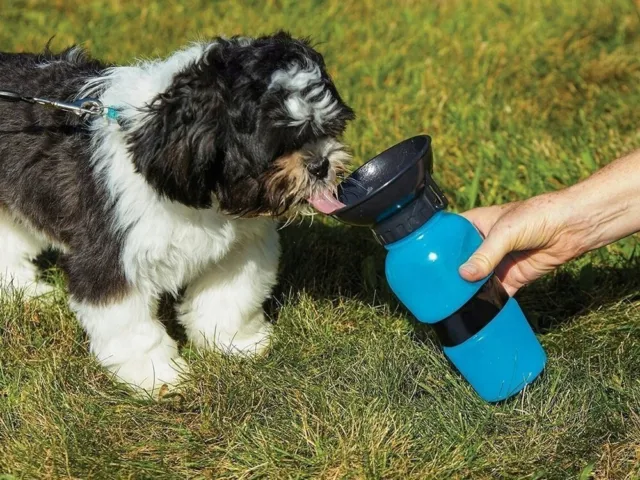 DISPENSER ACQUA PORTATILE PER CANE CANI BOTTIGLIA CON CIOTOLA DA VIAGGIO 500 ml