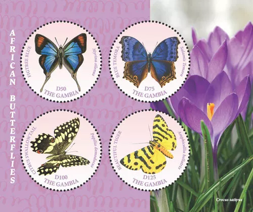 Gambia 2018 - African Butterflies, Saffron Iris - Sheet of 4 stamps - MNH