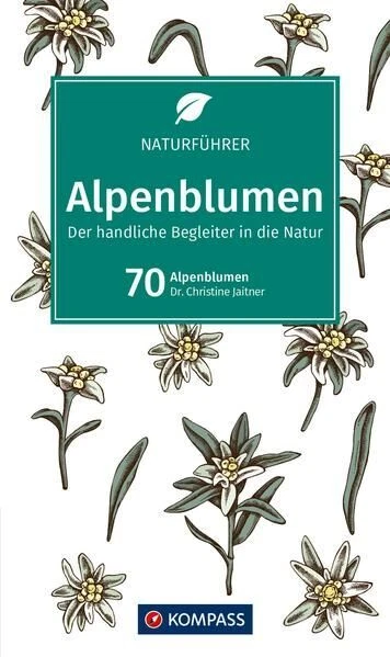 Bonbonspender Als Bilderrahmen – Vintage Design, Wandmontiert, Personalisierbar (Blau)