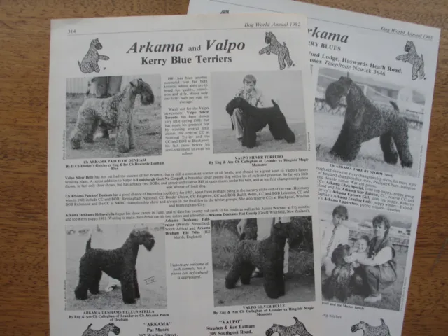 KERRY BLUE DOG KENNEL CLIPPINGS all from 1980s- 2010s  x 40