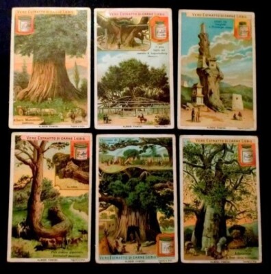 Ed S 690 CIF 689 ALBERI FAMOSI LIEBIG ITALIANA 