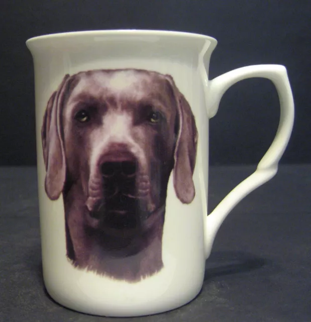 Weimaramer Dog (Head B/F) Fine Bone China Mug Cup Beaker