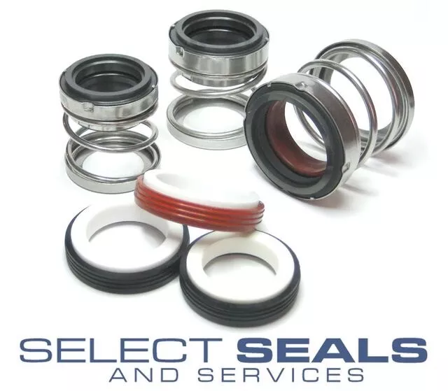 Southern Cross Pump 80 50 20 Pump Mechanical Seal