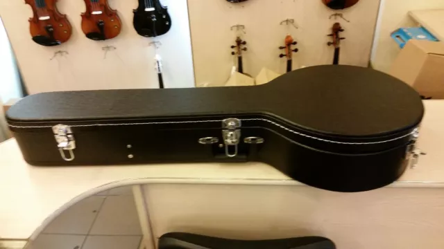 Hard case for irish bouzouki or octave mandolin