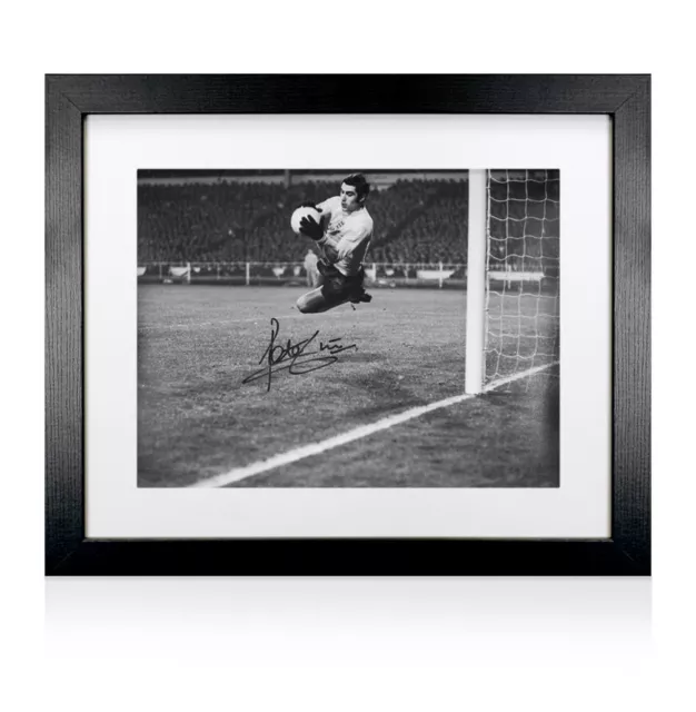 Framed Peter Shilton Signed Photo - England Save Autograph