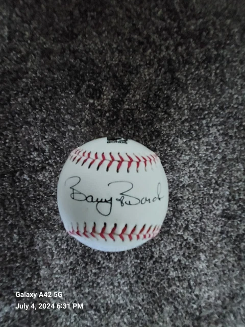 A simple rubber-coated baseball brings endless joy