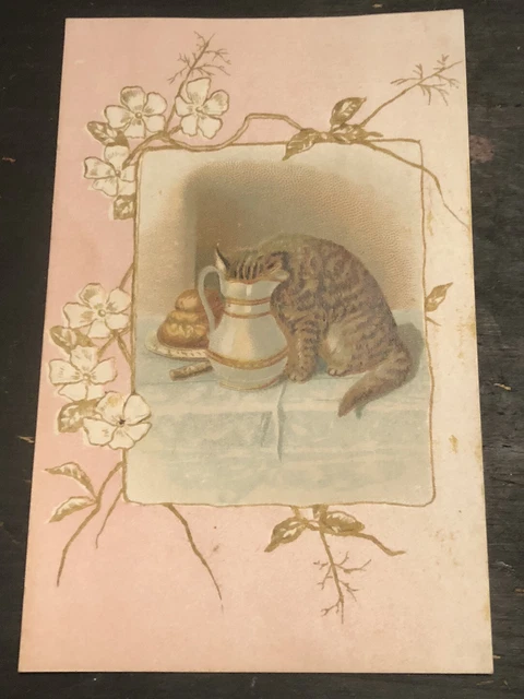 1800’s  VICTORIAN TRADE CARD WOOLSON SPICE LION COFFEE Cat In The Creamer