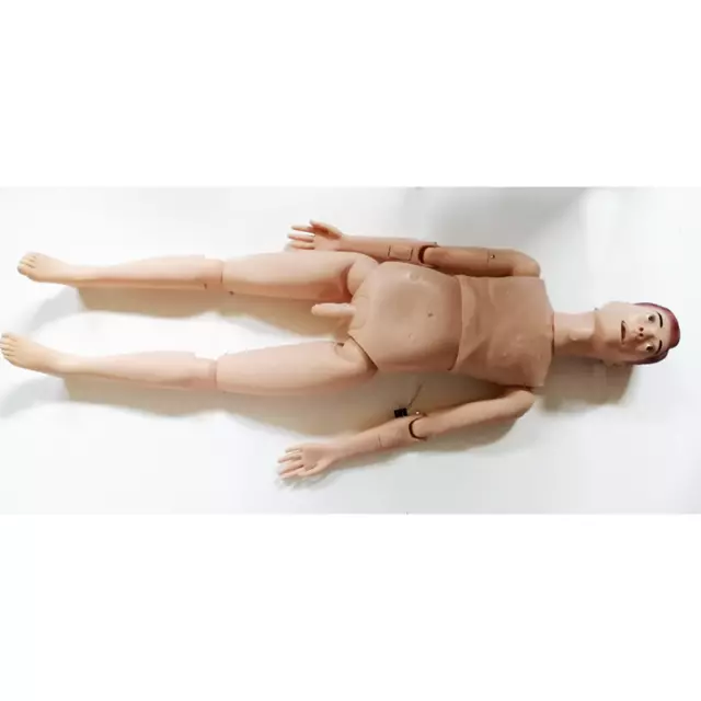 Education Model Adult Patient Care Teaching Human Manikin Nursing Training Education Model Adult Patient Care Teaching Human Manikin Nursing Training
