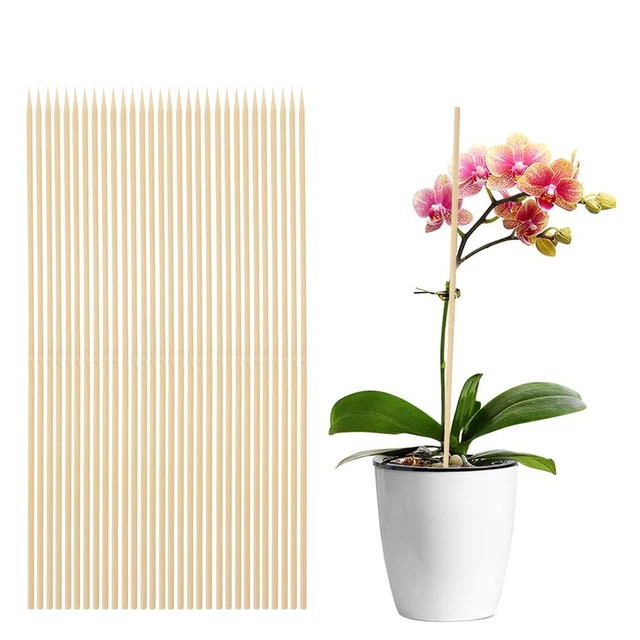 1 Set Gartenarbeit Topfpflanze Unterstützung DIY Flower Rack Klettern Vine