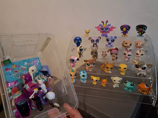 Littlest Pet Shop Sammlung Chinchilla Hase Maus Zubehör Roller 2007