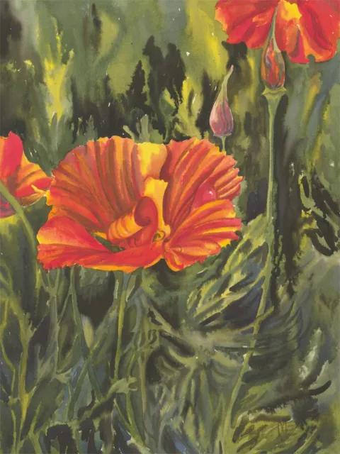 Mary Edwards FRSA - Aquarell Des 20. Jahrhunderts, Mohnblumen In Meinem Garten