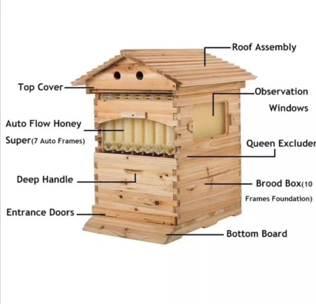 Auto Flow honey beehive set (wooden bee hive + 7x flow frames + brood frames)