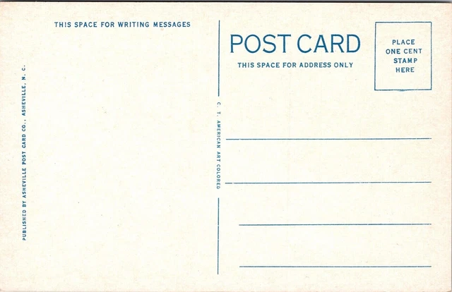 Water Fall Land Sky WB Postcard VTG UNP Curteich Vintage Unused Asheville NC 2