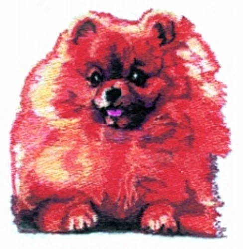 Embroidered Long-Sleeved T-Shirt - Pomeranian BT2628  Sizes S - XXL