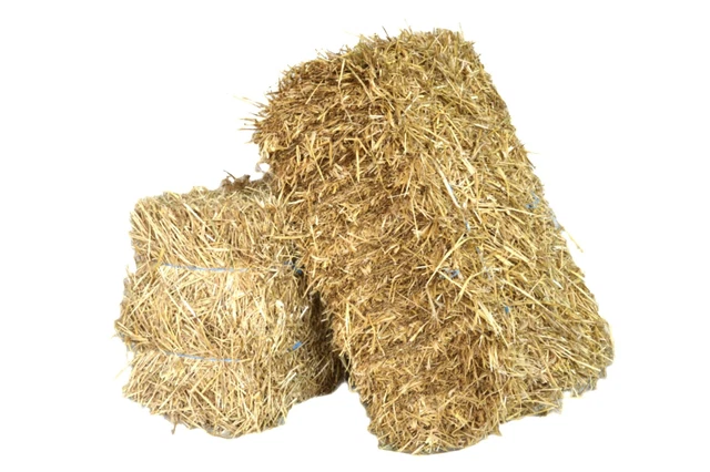 KERBL Hausstall Für Nagetiere 8 Elemente 34x23cm : Produktbild-Vorschau 7