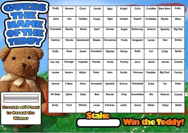 GUESS THE NAME OF THE TEDDY A3 FUNDRAISING SCRATCHCARD CHARITY EVENT 100 Squares
