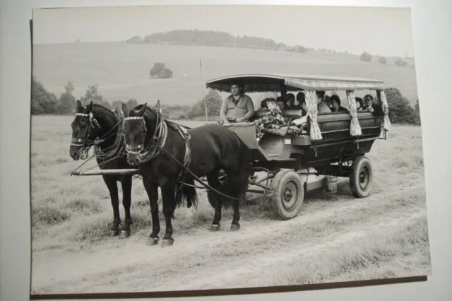 Foto-Postkarte, Kremserfahrt, Pferde, Kutsche, Gespann