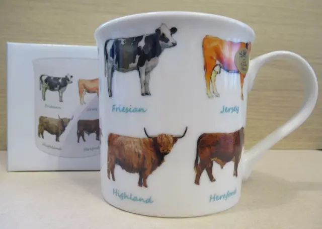 Cow Breeds Mug / Fine China Coffee, Tea Mug
