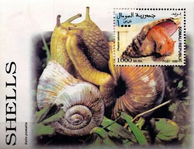 SOMALIA - Shells - Lumache - Conchiglie - Helix Pomatia Foglietto NUOVO MNH