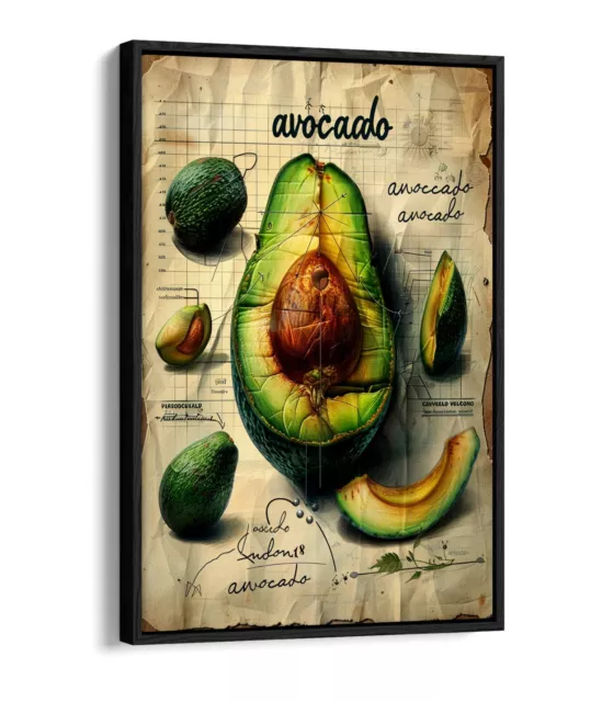 Avocado Botanical Illustration -Float Effect Framed Canvas Wall Art Print