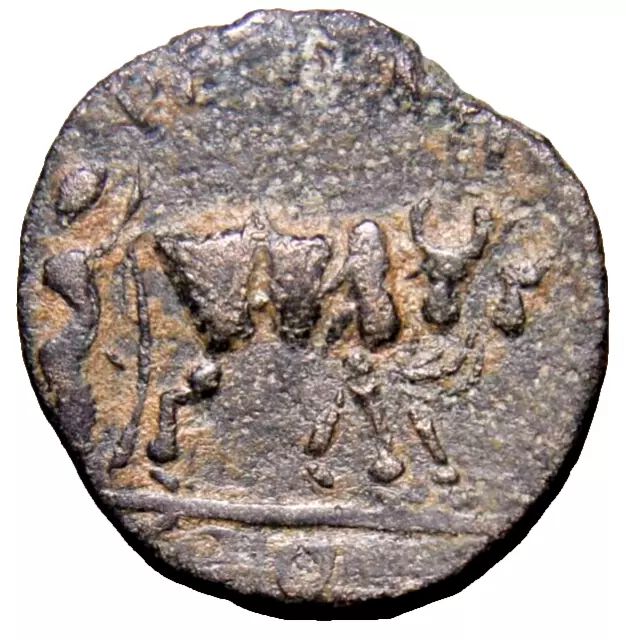 Ploughing Scene Two Oxen and Legionary Soldier Judaea Elagabalus Roman Coin COA