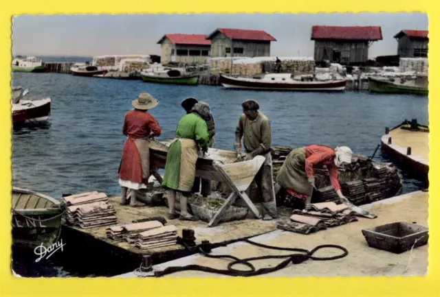 cpsm FRANCE Postcard ARCHACHON BASIN fishermen DETRIMENT OYSTER HARVEST