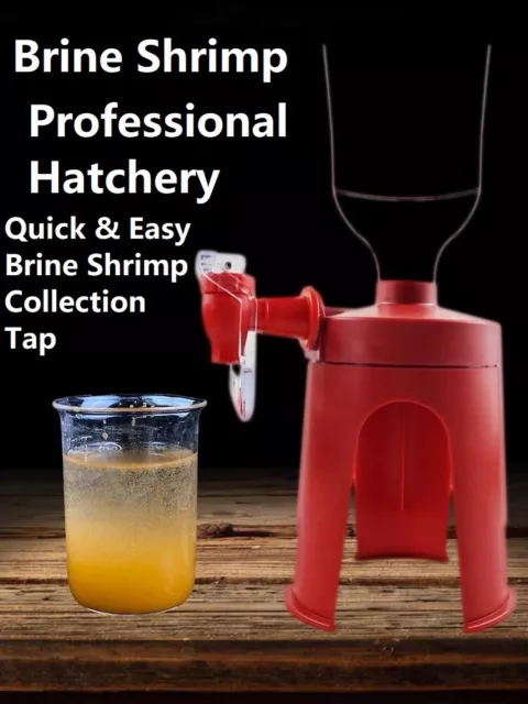 Artimia Brine Egg Shrimp Hatchery Kit Set Incubator Baby Fish Feed Hatch Tool