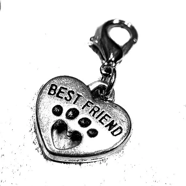 Dog Cat Paw Best Friend Heart Shaped Silver Plate Clip On Charm