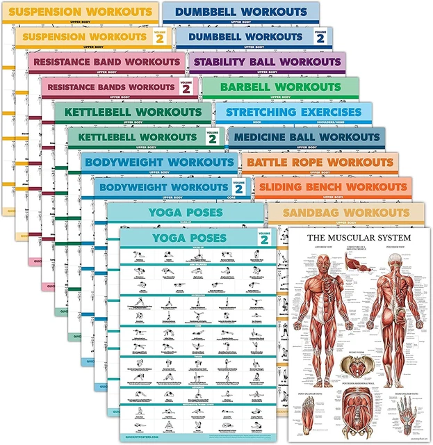 20 Pack - Exercise Poster Set: Dumbbell, 18&#x201D; x 24&#x201D;, LAMINATED